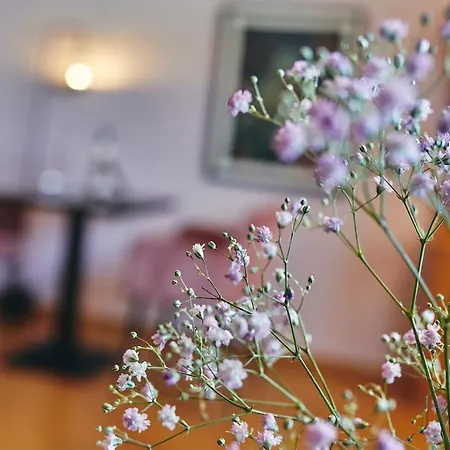 Boutiquehotel Liebesglueck - Adults Only מלון 4*